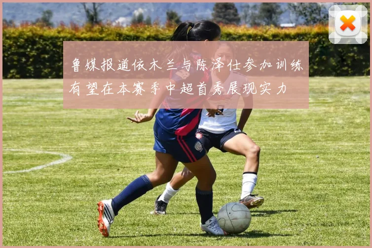 鲁媒报道依木兰与陈泽仕参加训练有望在本赛季中超首秀展现实力