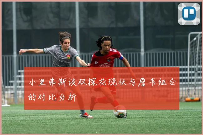 小里弗斯谈双探花现状与詹韦组合的对比分析